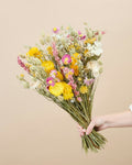 Maddalena Soft Pastel Dried Flower Arrangement