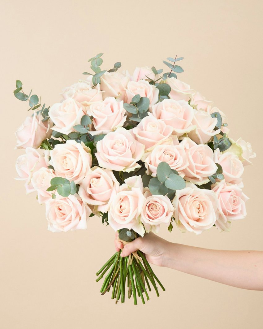 Coloma XL Grand Luxury Fresh Roses Bouquet