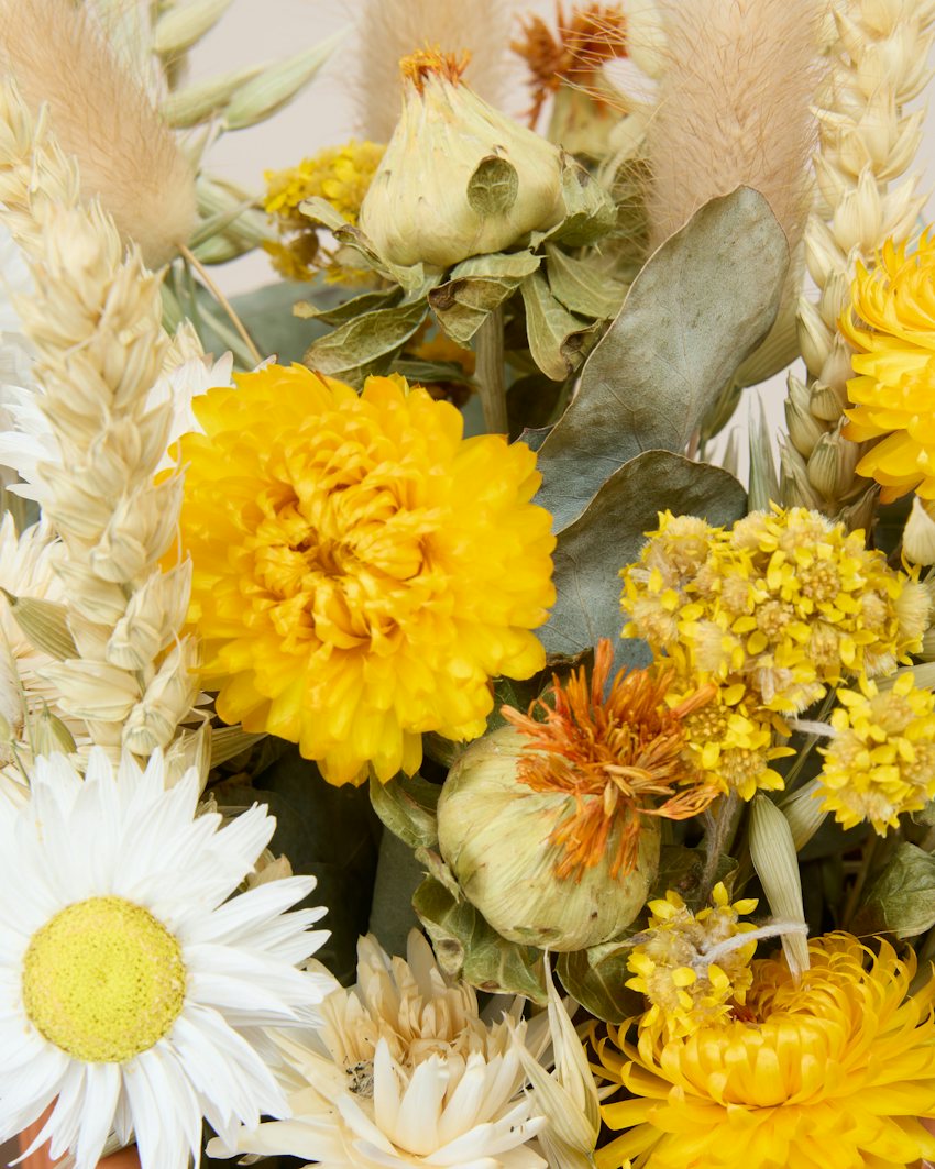 Boheme Natural Dried Flower & Pampas Grass Bouquet (Collection No. 01) - Main View