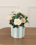 Jeanne Blooming Indoor/Balcony Rose Bush in Pot